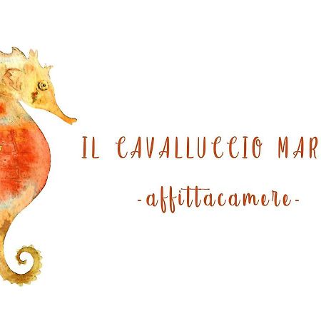 Il Cavalluccio Marino Manarola Eksteriør billede