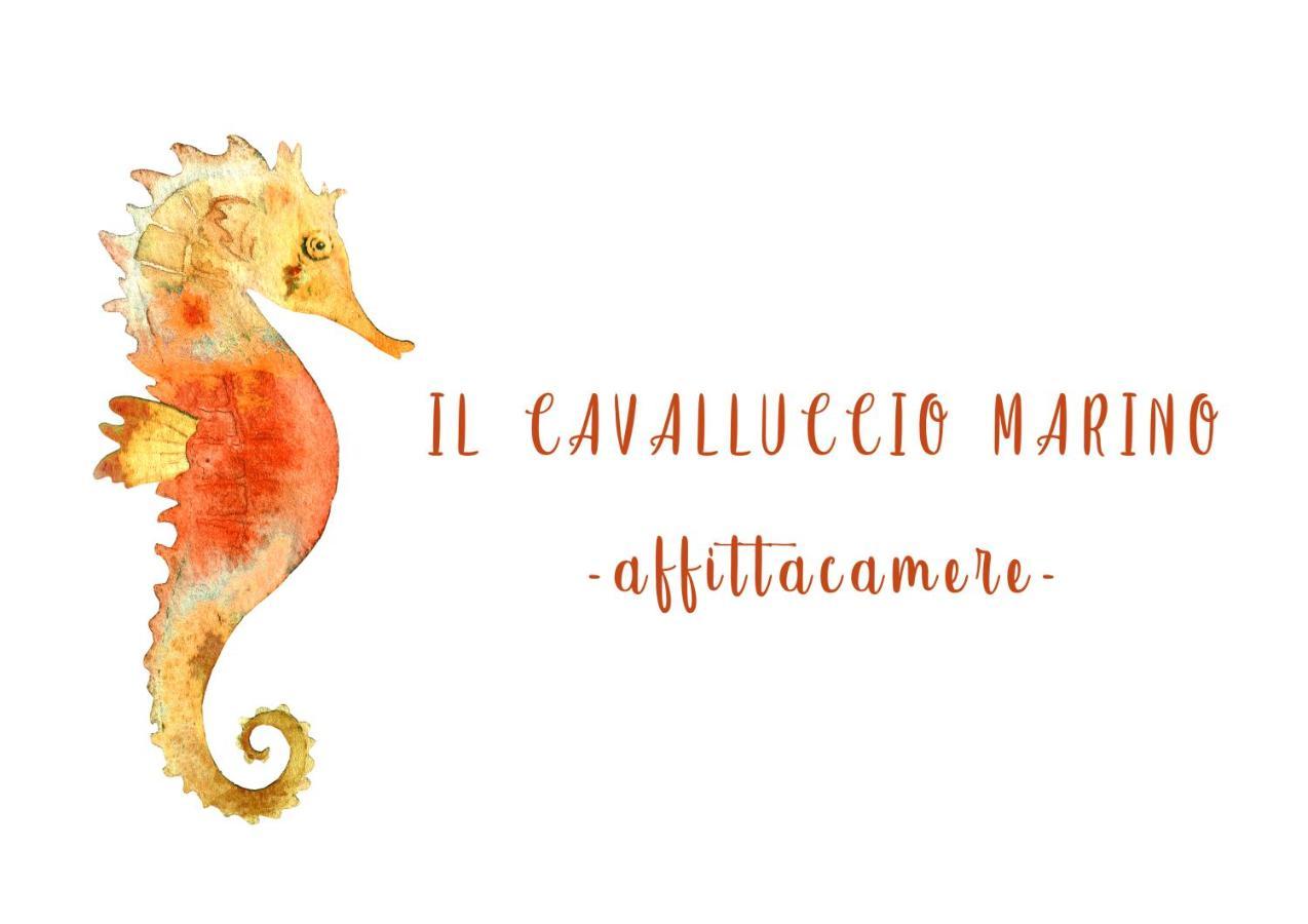 Il Cavalluccio Marino Manarola Eksteriør billede
